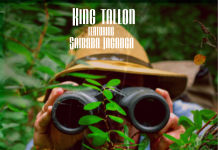 King Tallon – Feat. Saibaba Inganga – Survival Niweka – Mp3